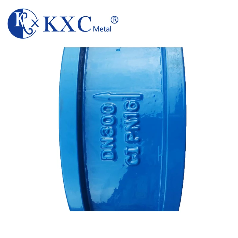 PN16 DN50 DN400 Oem Water Meter  Standard Normal Temperature Check Valve,general Hydraulic DN50-DN400 ISO9001:2008 Check Valve