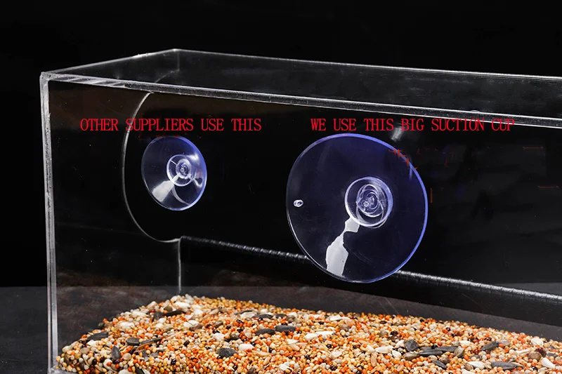 Automatic Feeders Water Bowel and Eco-Friendly Feature bird feeder