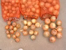 
chinese fresh red onion 