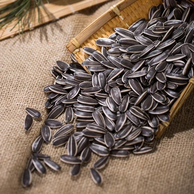 Hot Sale sunflower seeds turkey chacha sunflower seeds