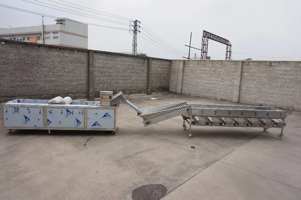 Fruit vegetable sorting machine/potato lemon orange sorter machine for sale