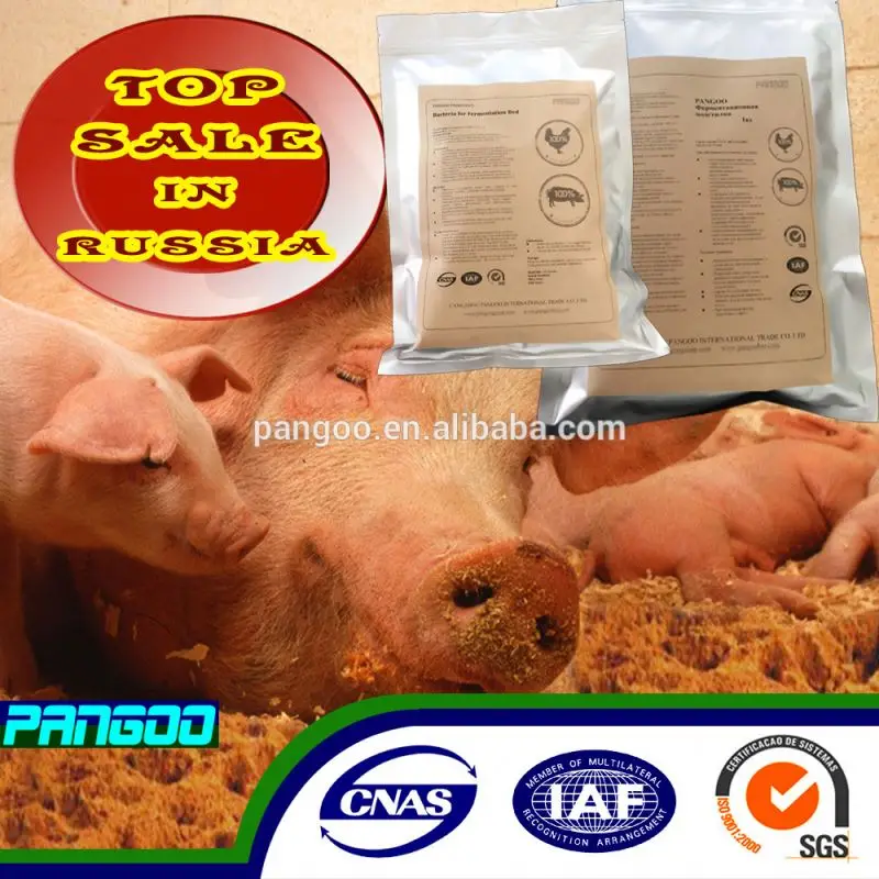 PRO-01 Bacillus Subtilis Fermentation Feed Additives for animal feed use