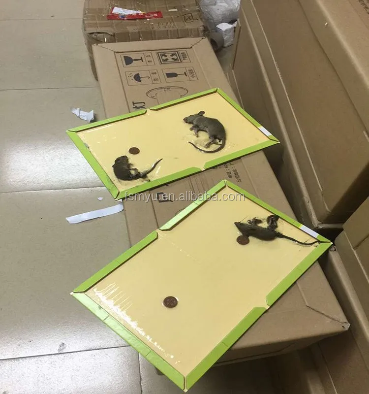 
Strong adhesive rat glue trap mice mouse trap 
