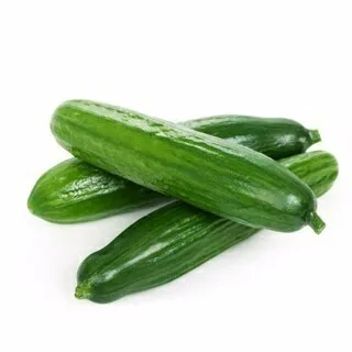 Heat Tolerant hybrid cucumber seeds for open filed
