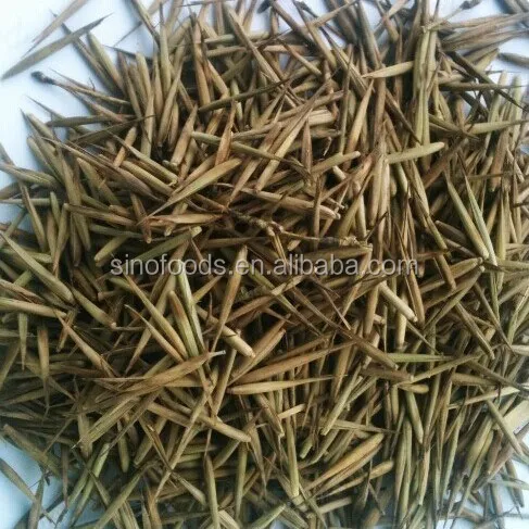 
zi zhu zhong zi high germination black bamboo seeds 