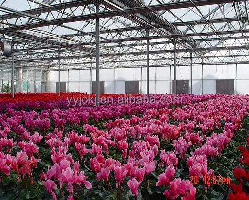 UV protection 10 years of quality assurance 6mm hollow polycarbonate sheet/ solid polycarbonate sheet