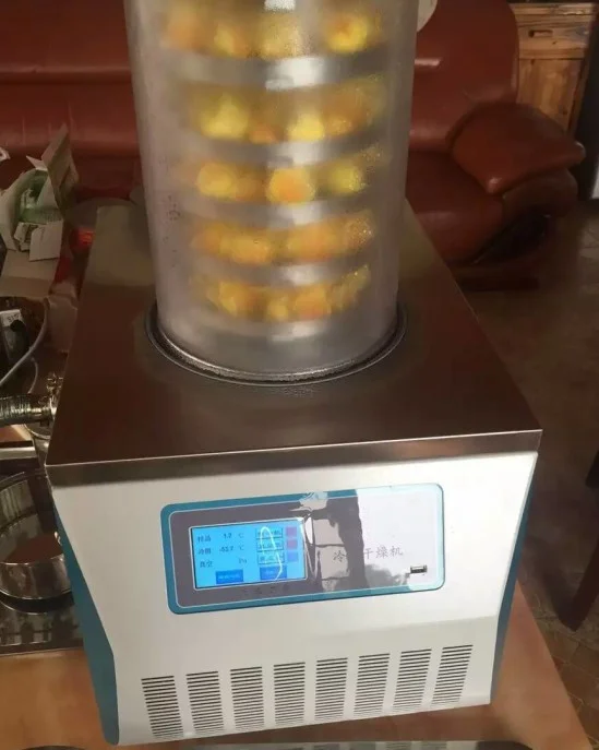 Таксидермия настольная сублимационная Вакуумная сушилка лиофилизатор настольная сублимационная сушилка