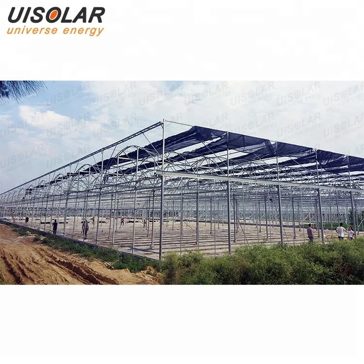 Galvanized steel structure agricultural pe film greenhouse