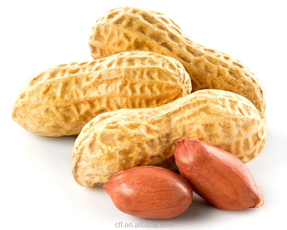 High Concentration and Good Smell peanut Essence peanut Liquid Flavour concentrated for food