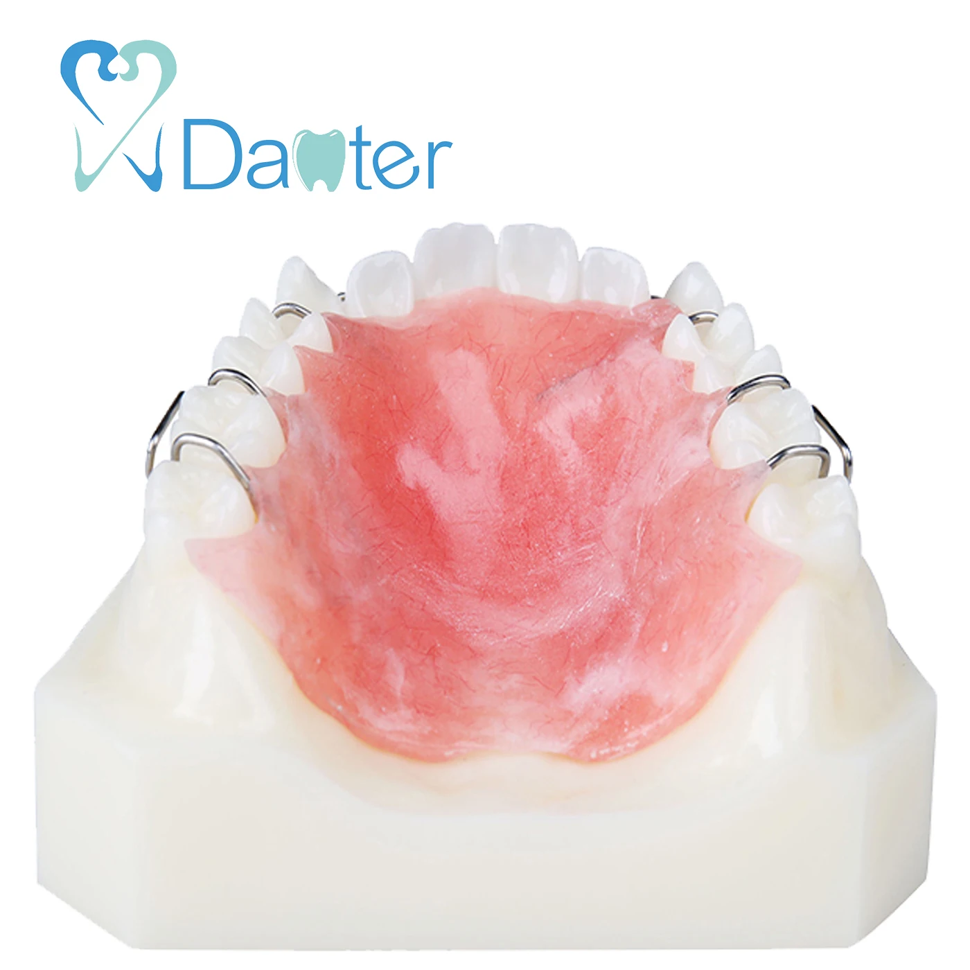 Dental Maxillary Retainer After Orthodontic Treatment Model - White Color
