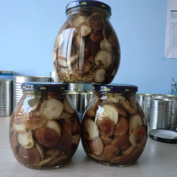 China canned shiitake mushroom marinated in brine with low price of good quality