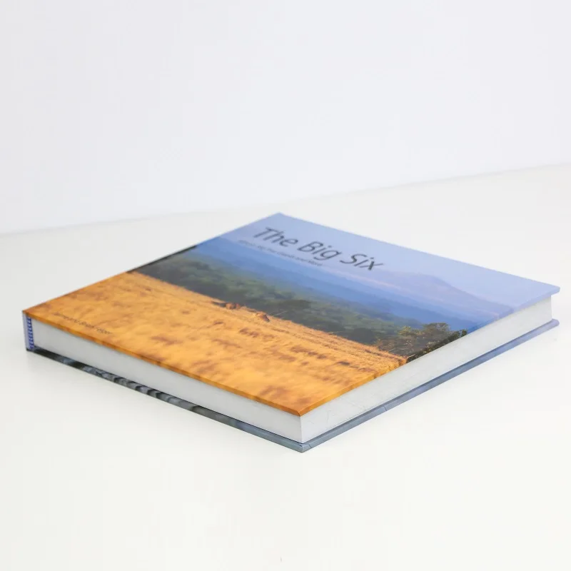 Китайские пользовательские печатные книги