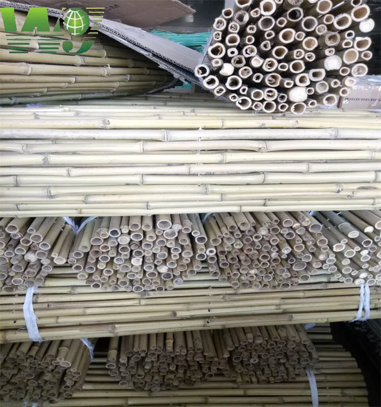 Wy-J185 томатный растущий бамбуковый колпачок