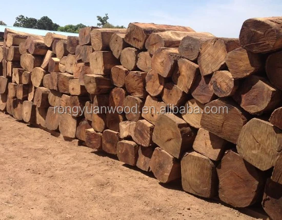 Beli wood timber and eak, Merbau, Burma Padauk, Oak, Manchurian Ash, Cedar