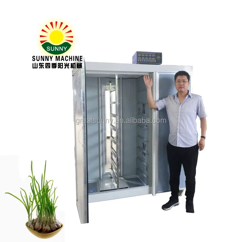 Automatic hydroponic vegetable machinery for Growing Alfalfa, wheat, Brassica, lettuce of machine