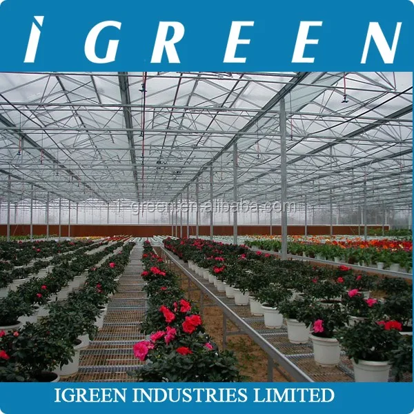 Commercial intelligent glass greenhouse for sale