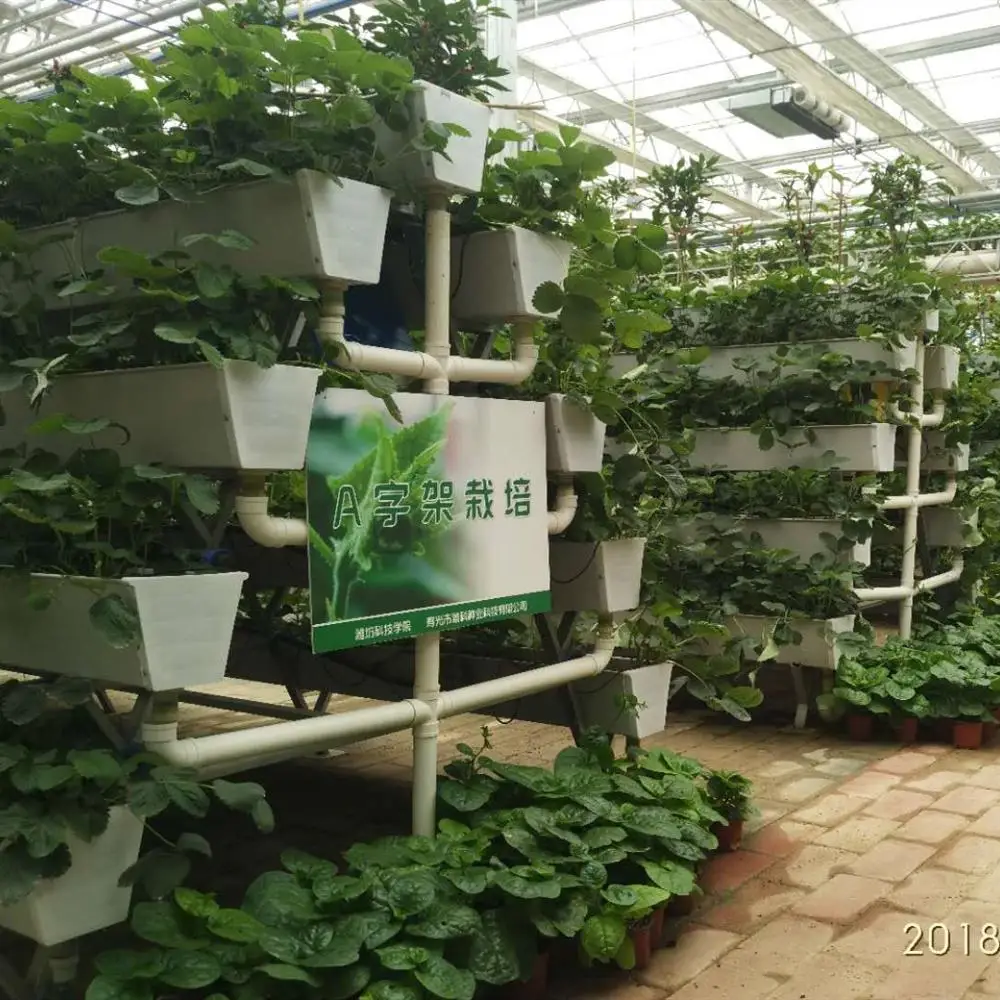 Venlo Type Double Layer Glass Greenhouse with Hydroponic System for Agriculture/Tourism Planting/Strawberry Picking Tourism