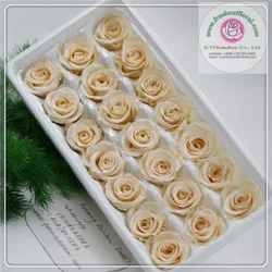 natural mini preserved rose head 2-3cm diameter in size 24 pieces/box