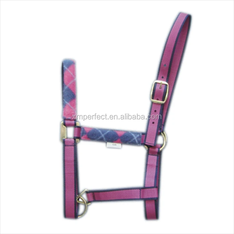 Best Selling Made in China High Quality Horse Equine Products