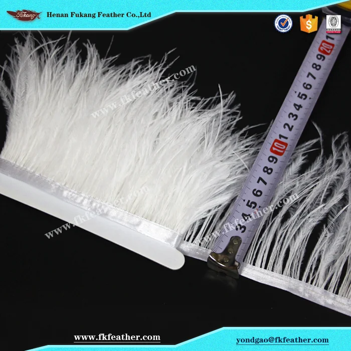 Fukang оптовая продажа, белая лента из страусиного пера, используется на выпускной костюм
