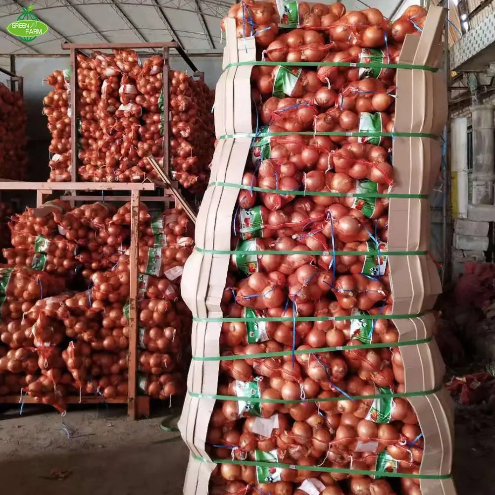 yellow onion packing in 25kg mesh bag  Sent to the Netherlands