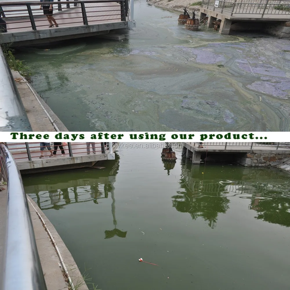 
Lvkee High quality Bacillus Subtilis 100 Billion cfu/g Probiotics Powder 