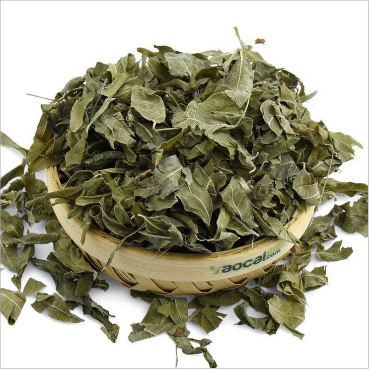 luo bu ma ye high quality Natural Apocynum Venetum Tea / Bluish Dogbane Tea