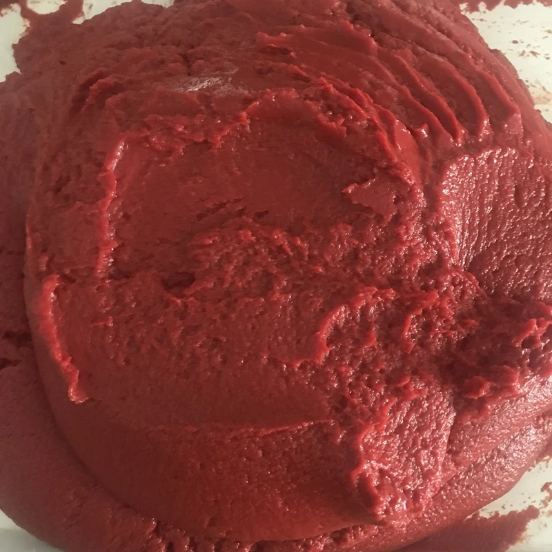 Chinese canned  tomato paste  packed from 100%  fresh tomato of fancy quality for Europe