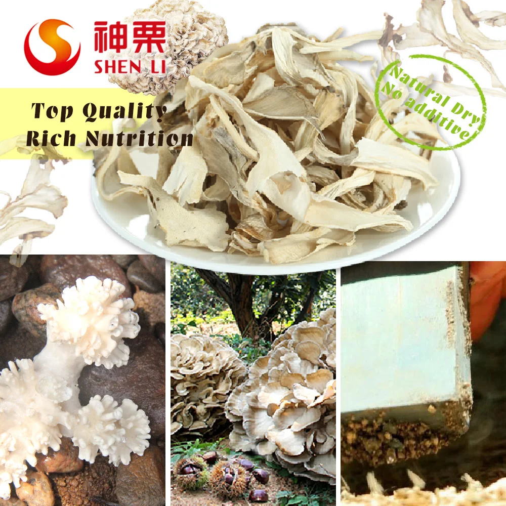 
Hot sell IQF dried shitake mushroom 