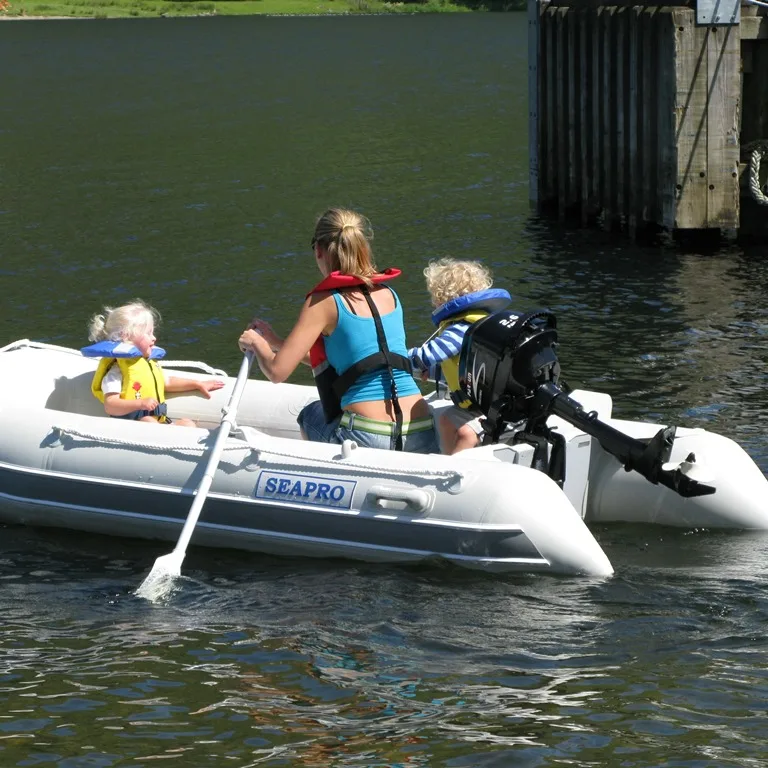 F2.6BMS 2.6HP 4-stroke outboad engine boat motor outboard motor