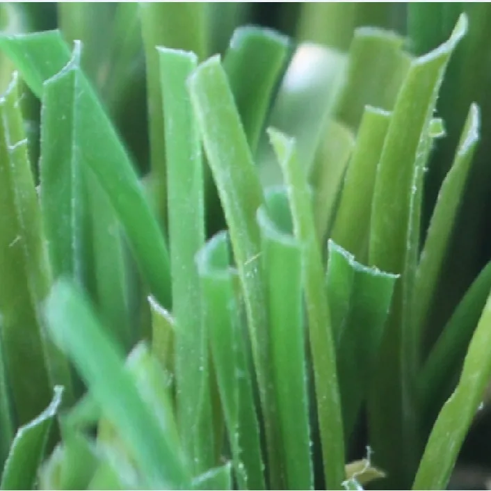 FIFA Approved Green Color Football Grass for Soccer Field