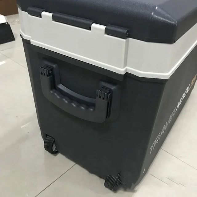 China 35L 12V Holiday Travel Mini Refrigerator/Freezer/Icebox cooler and warmer box  mini portable fridge