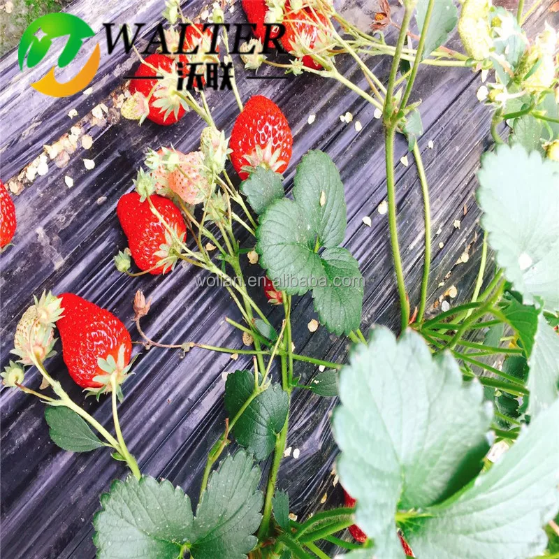 Лист из мульчирующей бумаги