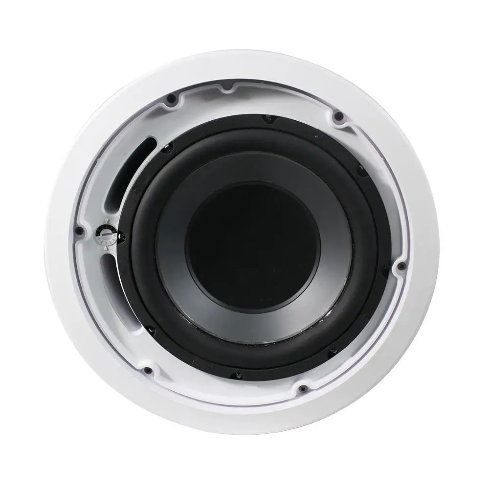 10 inch 60/120/240W at 4 ohm subwoofer ceiling speaker with heavy metal fire dome suitable for sub bass applications
