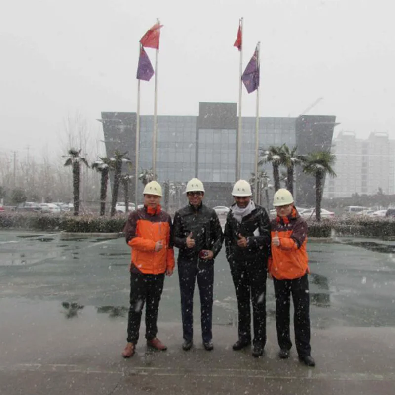 LH electric hoist overhead travelling crane