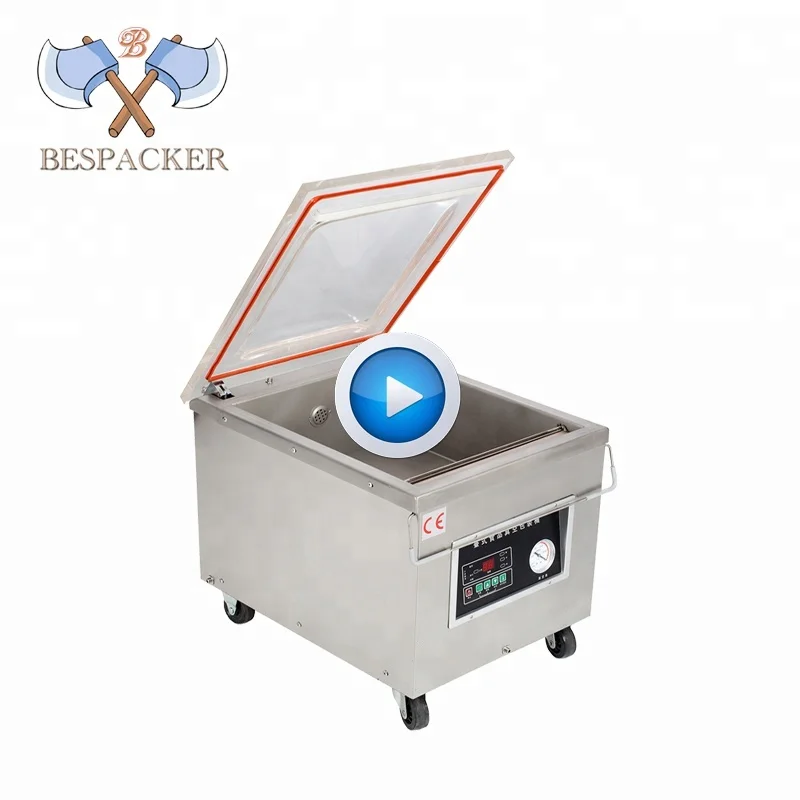 Bespacker plastic bag food fish vacuum nitrogen sealer packing machine DZ350