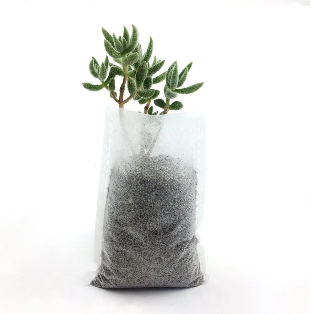 
Factory Wholesale Price Plant Seeding Bags for Biodegradable and Eco-friendly Non-woven fabric grow bag 
