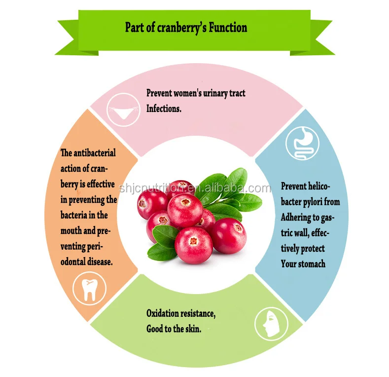
Free Sample of Anthocyanidins and PACs from Cranberry Powder, Cranberry Extract 