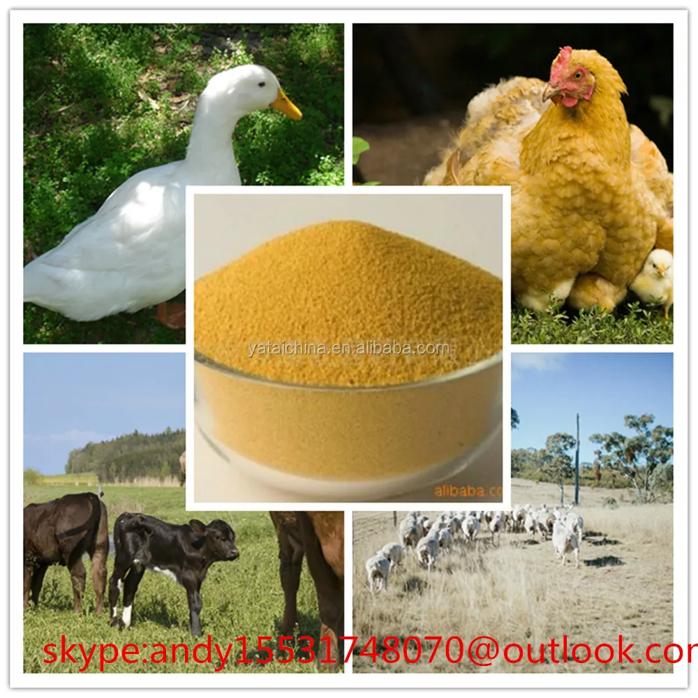 Inactive Feed Dry Yeast for Piglet Sow Hog Poultry