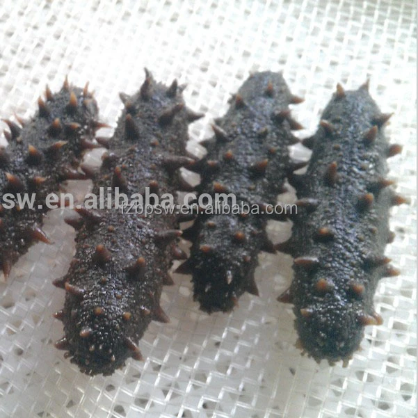 Highest Grade Dried Sea Cucumber,apostichopus japonicus In Fujian,China
