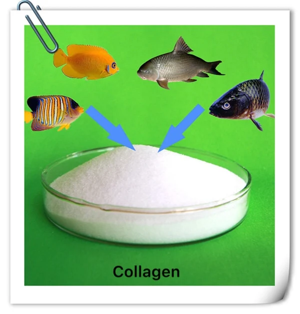 
Instant Fish Collagen/ Food and Cosmetic Grade Collagen For Nutrition Supplement 