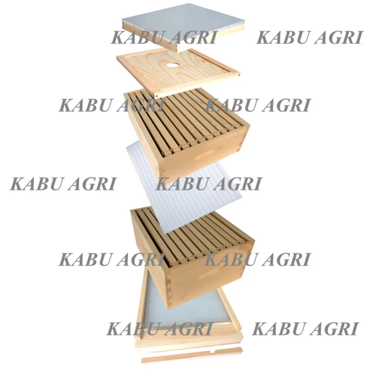 10 Frame langstroth beehive beginner kit