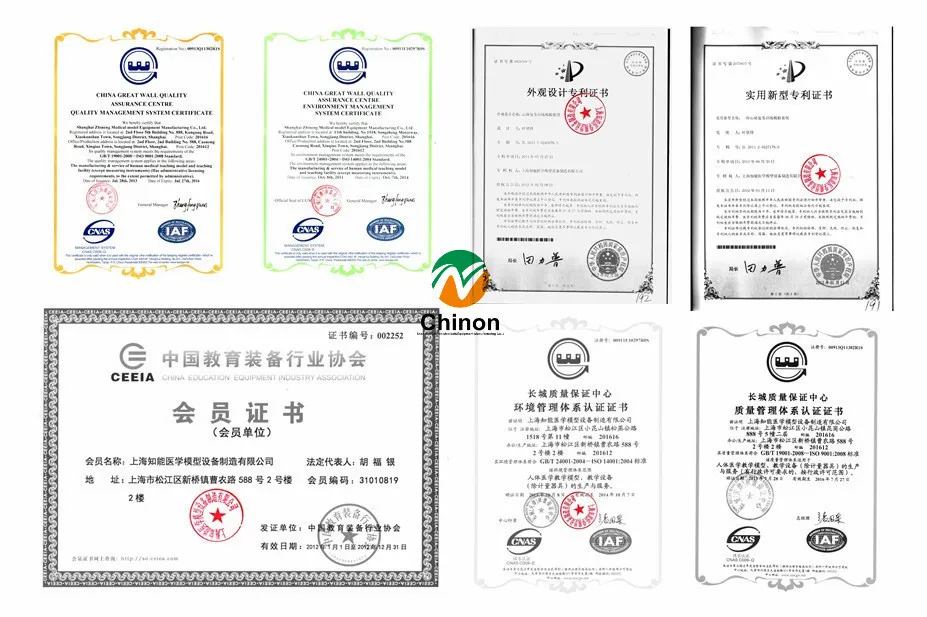 Medical science basic male nursing training mannequin for Disease Demonstration Medical Teaching Tool