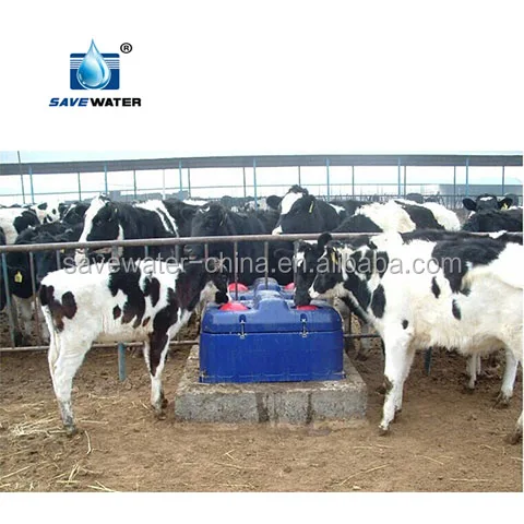 Frost free Auto Drinking Water trough for Livestock farm equipment