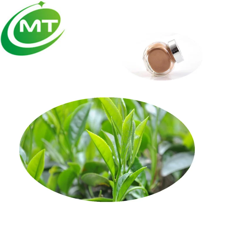 Органический экстракт черного чая в порошке