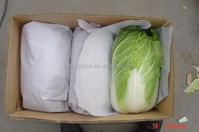 
2021 GAP wholesale fresh chinese long cabbage new crop high quality export to MALAYSIA CANADA UAE SINGAPORE 