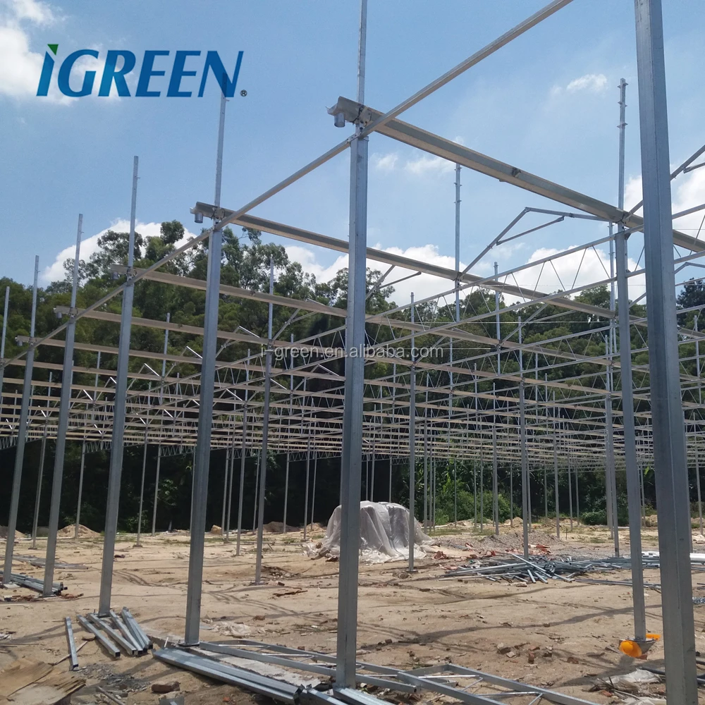 Multi span polycarbonate greenhouse pc greenhouse structure