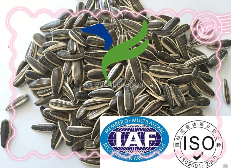 2017 Raw Dried 5009 Sunflower Seed Ton Price