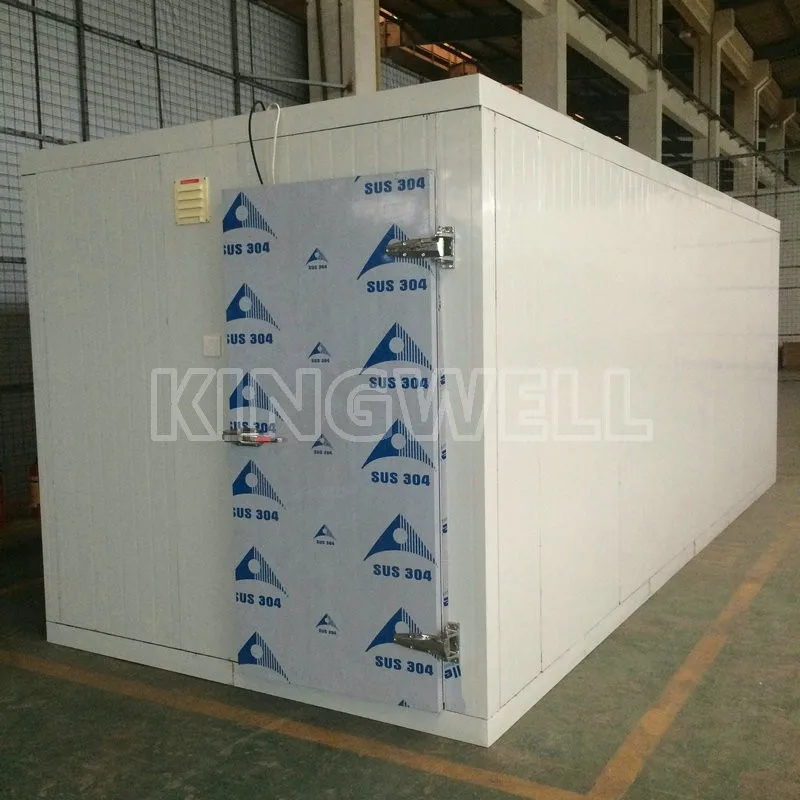 Banana ripening room with Pu Panels, Refrigeration Cold Storage Room