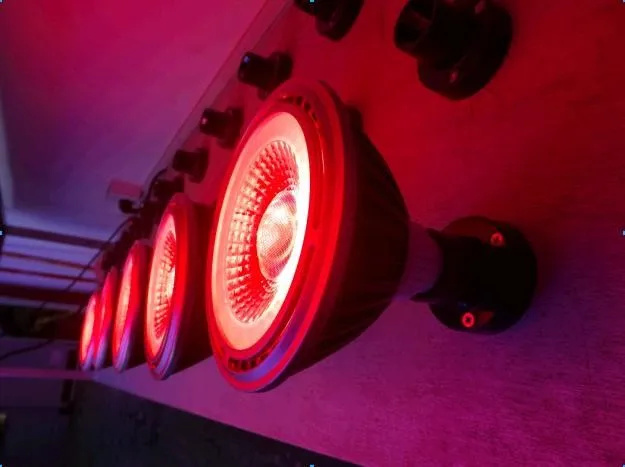 VANQ Wholesale far red light for indoor plant flowering E27 Par 38 18W